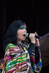 Björk umhverfisvæn