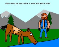 chuck-horse