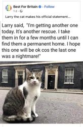 Larry forstiskttur